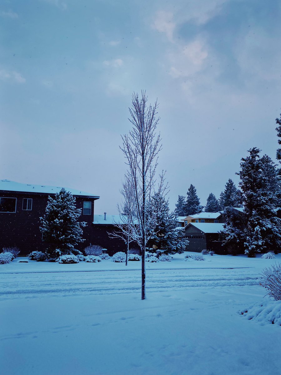 Anastocio's tweet photo. First snow run this winter and it did not disappoint. #shotoniphone #vsco https://t.co/7ZGhi7aq1t