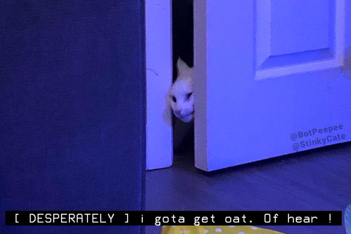 ME TRYING TO ESCAPE ROCKET HQ AFTER ARCHER SENT HIS HOUNDOOM AFTER ME.