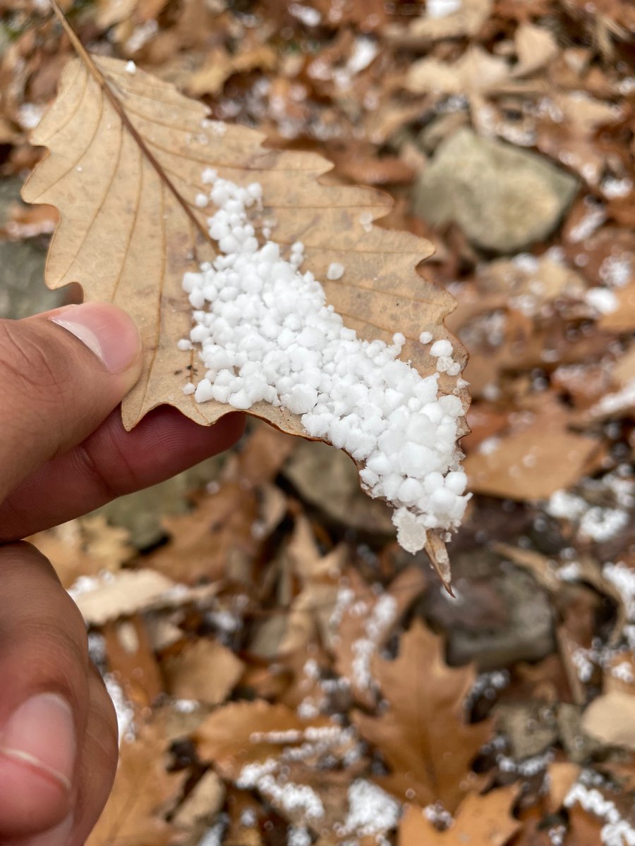 ArunKanhere's tweet photo. Forbidden Dippin' Dots https://t.co/uAtA6gjEWI