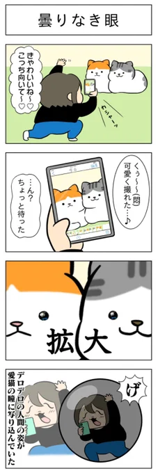 曇りなき眼│フェリシモ猫部 https://t.co/PbhMXkz9WA 