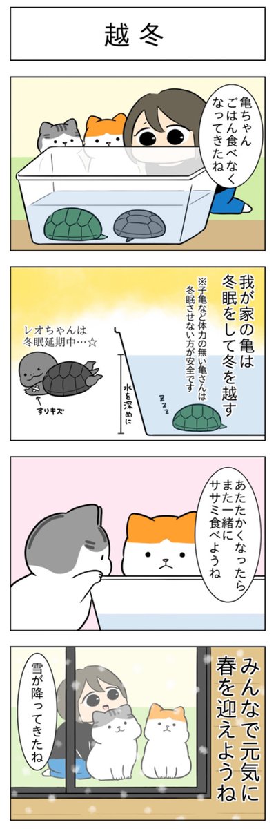 曇りなき眼│フェリシモ猫部 https://t.co/PbhMXkz9WA 
