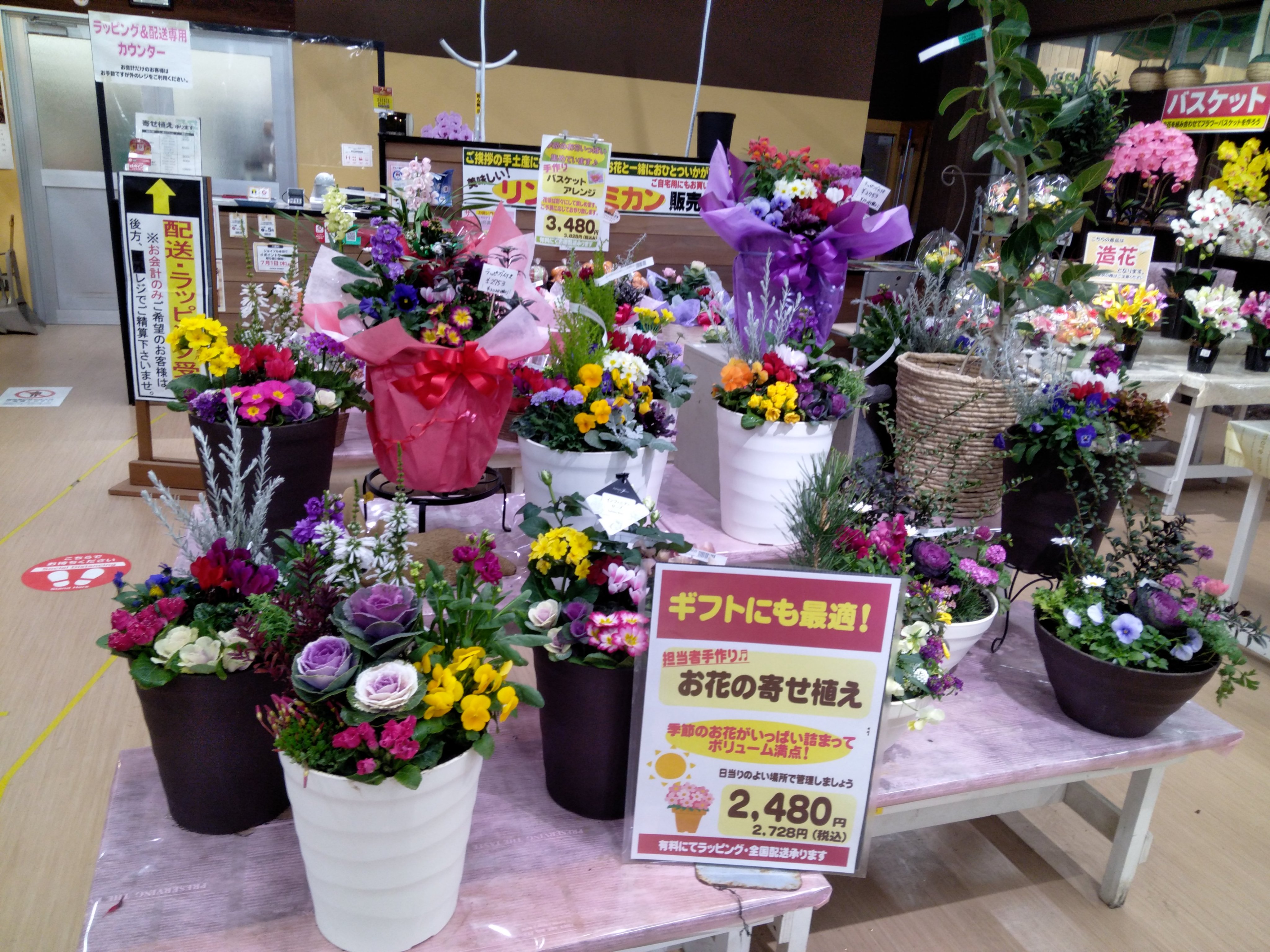 ジョイフル本田 ガーデンセンター Al Twitter スタッフの手作りのフラワーアレンジはいかがでしょうか 年末年始の贈り物にもピッタリ お気に入りのアレンジが見つかるはず スタッフ一同お待ちしております 贈り物 お花 園芸店 フラワーギフト