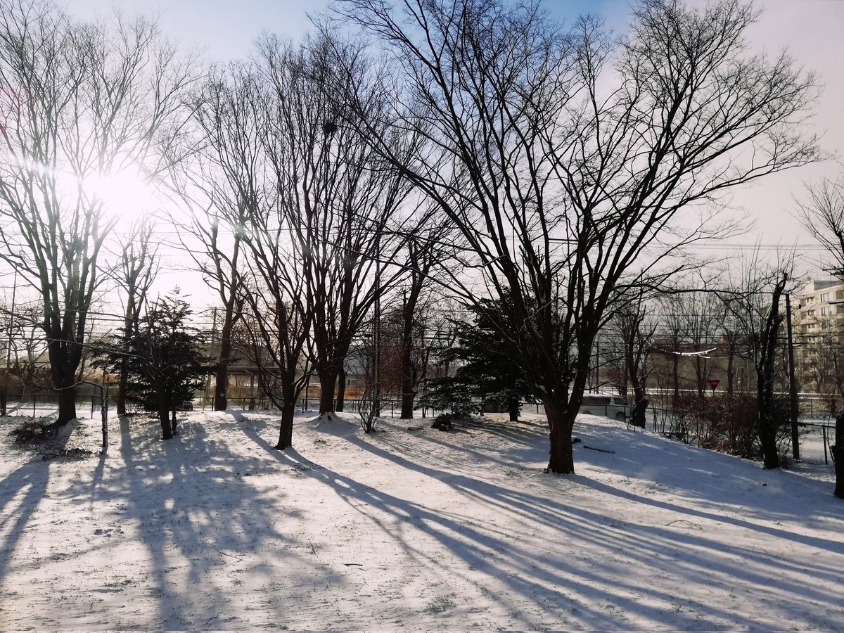 feelgoodcom's tweet image. 雪景色～⛄な
#札幌の朝
です😊
そうそう、このように少しずつ降ってもらえるとありがたいのです💗
#イマソラ
#札幌
#雪景色