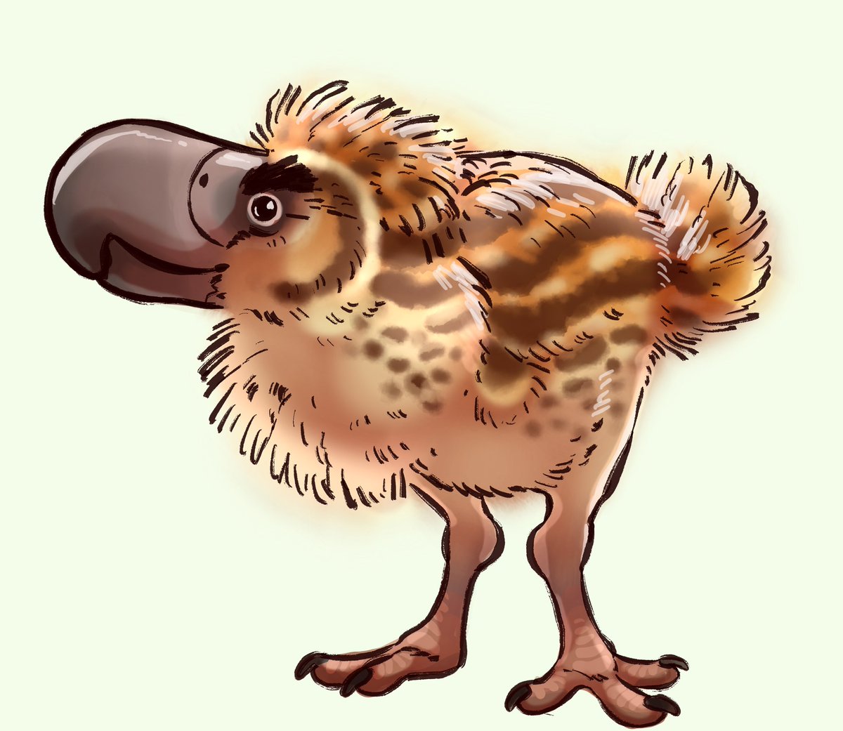 Mantiscatstuff's tweet photo. Terror chick https://t.co/PKg3GgvLQf