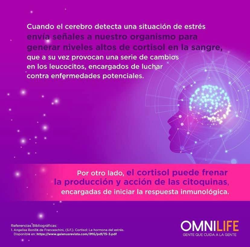 Distribuidor_ST's tweet photo. ¿Sabías que estar estresado no solo se traduce en mal humor o falta de sueño? 🤨
Un nivel alto de estrés puede provocar un nivel bajo de defensas en tu sistema inmunológico 😳
Dedica 1 minuto de tu tiempo a esta pequeña cápsula informativa 😉 https://t.co/m9eqcZii6O