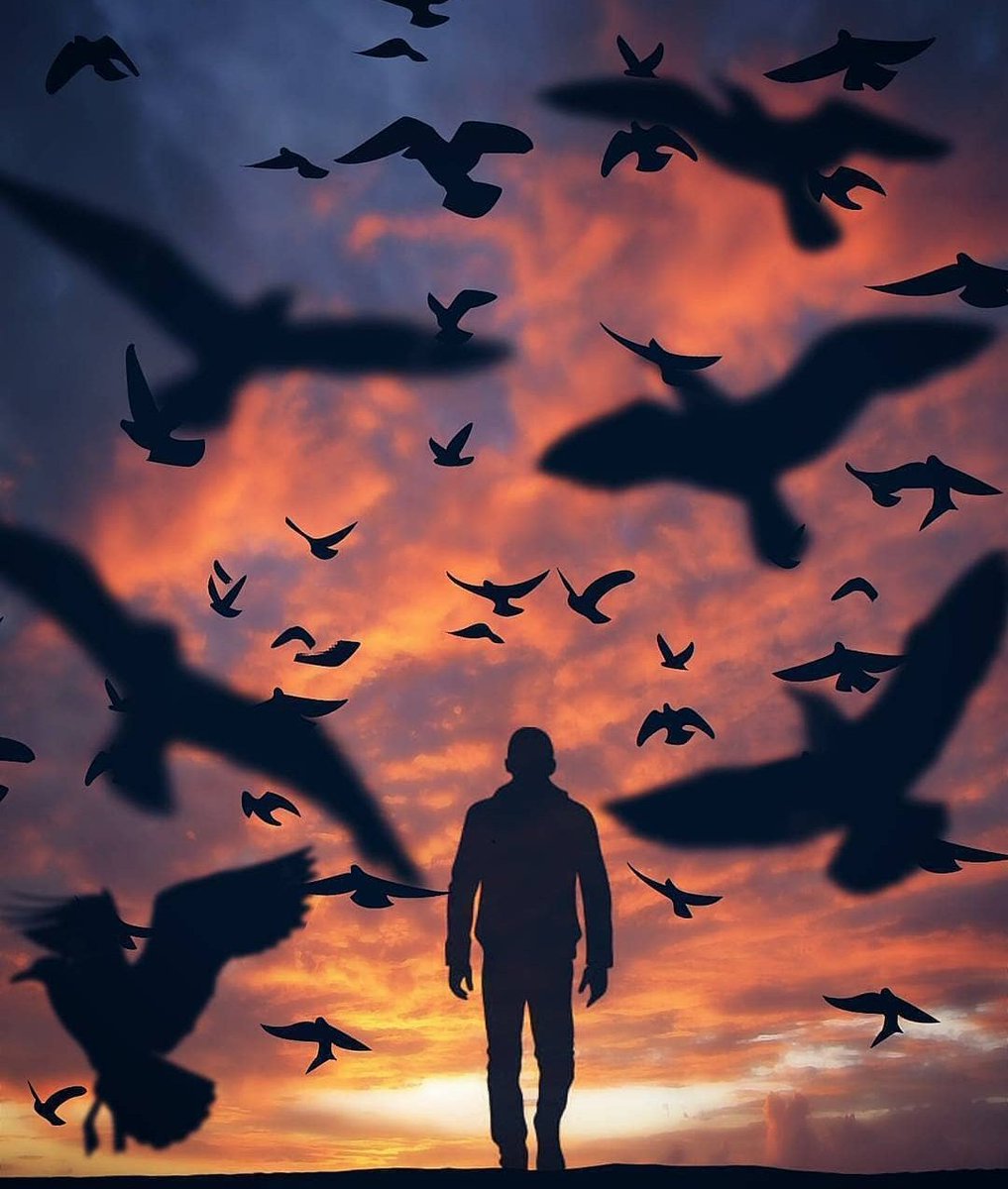 Pijatmalang28's tweet photo. I walked alone through the time limit, educating my heart to always think positive, I went through the dark with a sense of loneliness and the sound of thunder, I don't know anything, all I know is that there are people who love me so much....
#pijatpriamalang #pijatpriamalang https://t.co/MJNJboN9Z1