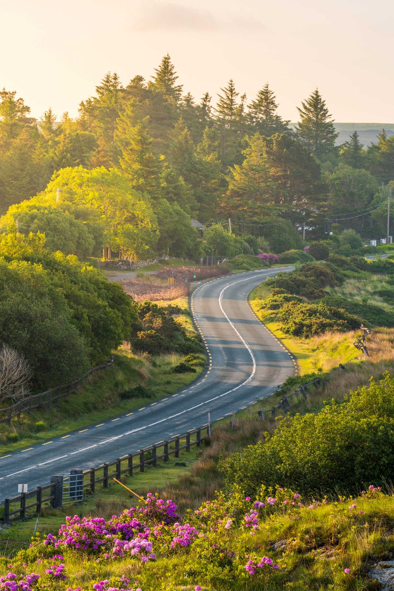 Condé Nast Traveller tweet media