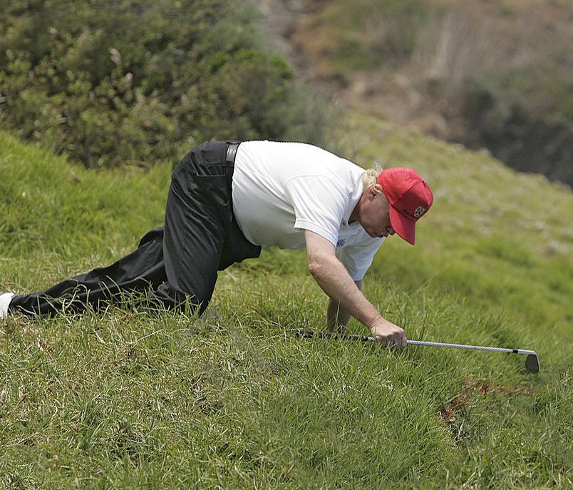 Elf on the Shelf? Here’s Ass in the Grass.