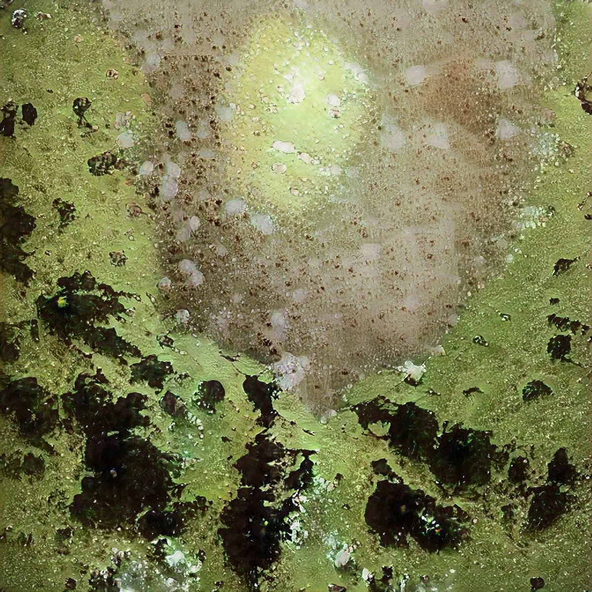 iamgilroy's tweet photo. After many months of indecision I think I'm ready to "drop" my 1st collection.

I will be doing $ASH exclusive drops.
Easy choice.  🦾

Here's a peek at "Efflorescence"🙈

There will be 50 -  1/1 pieces auctioned.
Target 12/14/21
 
#WeAcceptAsh @muratpak @NFTSiblings @URN__ART https://t.co/IOBLBrOADy