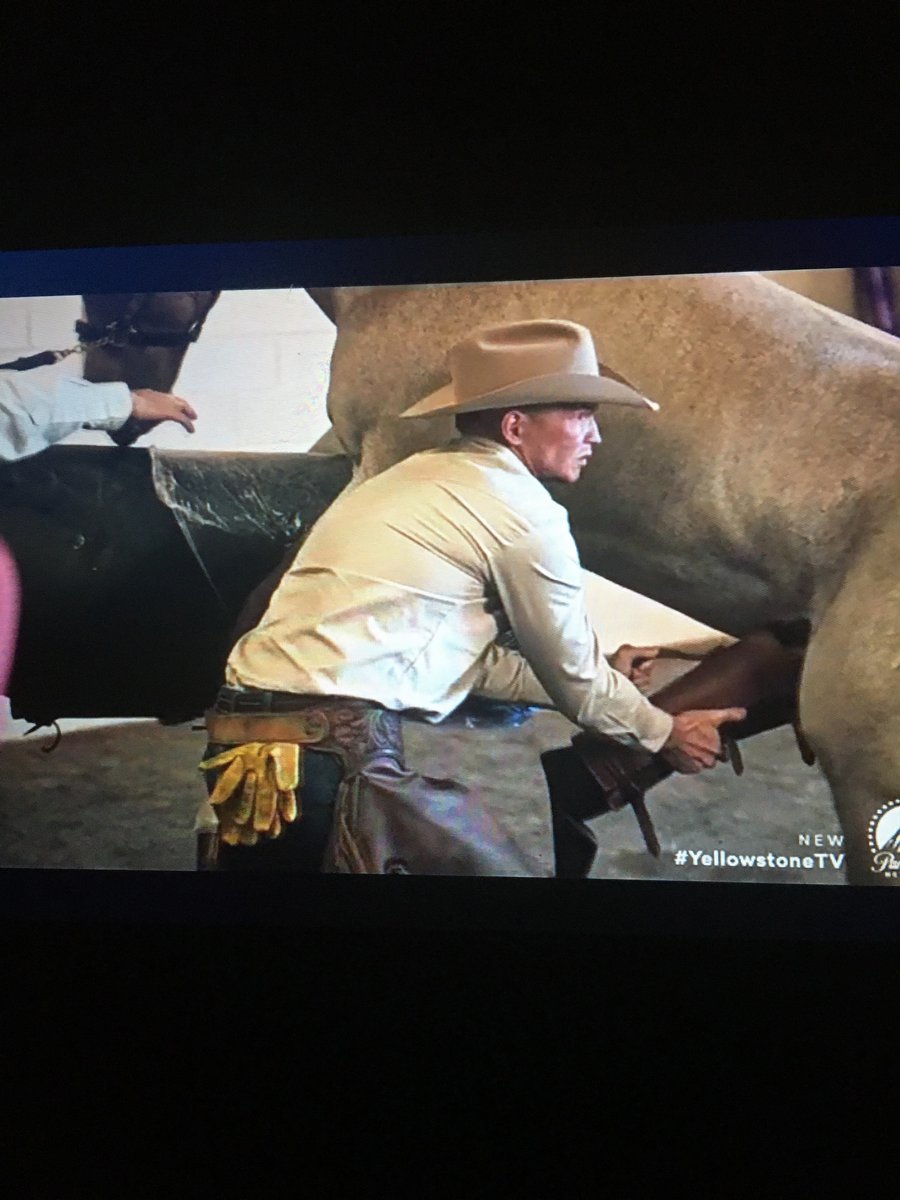 TinaB330's tweet photo. “I just jacked off a horse 🐴 “😂🤠
#Yellowstone #PoorJimmy https://t.co/pVYsUwKlz2