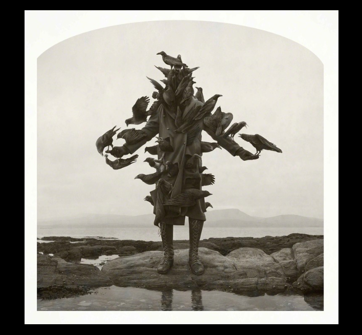 ClockworkCosmos's tweet photo. "King of Birds" - Kahn &amp; Selesnick (1964- ) 
#NicholasKahn #RichardSelesnick https://t.co/00yrnjyTm7