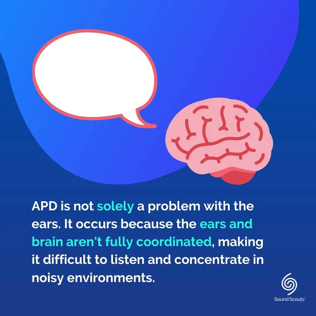 Sound Scouts tweet media