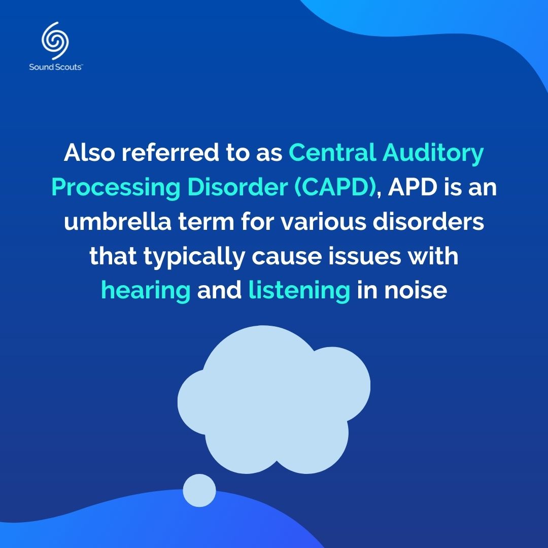 Sound Scouts tweet media