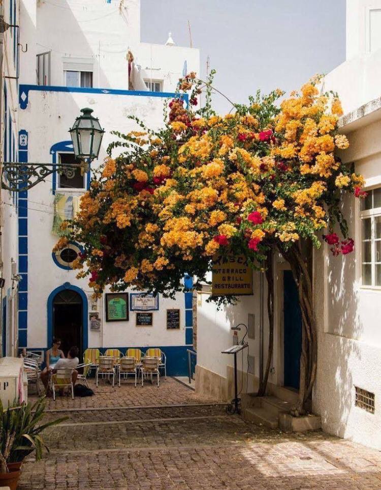 الله يملك الأبواب كلها، كبيرها وصغيرها، بعيدها وقريبها، عسيرها ويسيرها.. وإن شاء أن يعطيك سيعطيك، ولو كان بينك وبين عطائه ألف بابٍ وباب