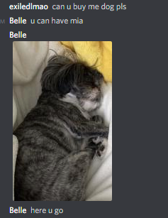 exiledlmao's tweet photo. @Bellexion our dog https://t.co/PVF8YWg1mq