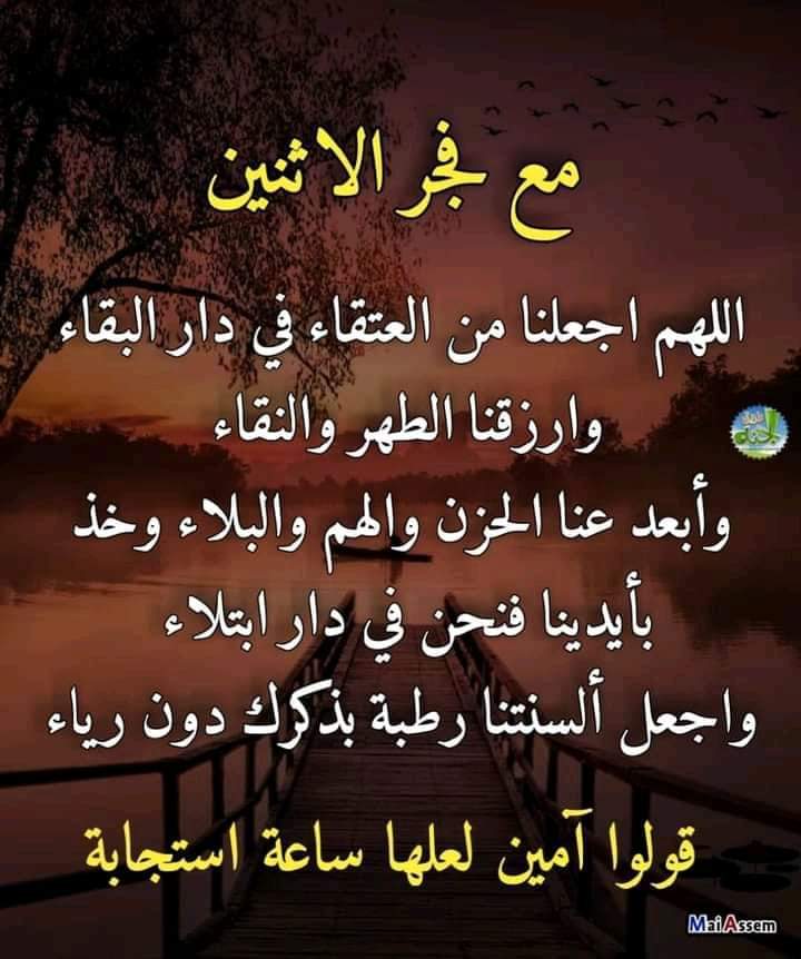 طلال.💫 tweet media