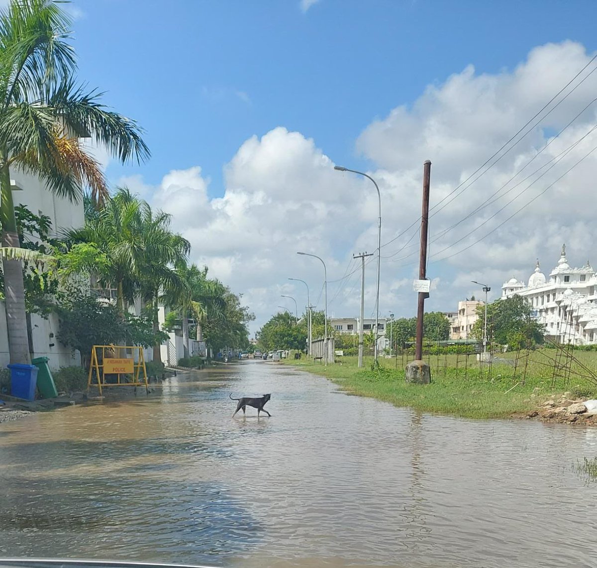 s_aleem's tweet photo. @rdc_south @CHN_Metro_Water 
There has been water stagnation (from the metro water line) on ISKCON Temple road since the rains last month. Request your help in addressing this issue. Thanks! https://t.co/i5dll4Oqo5