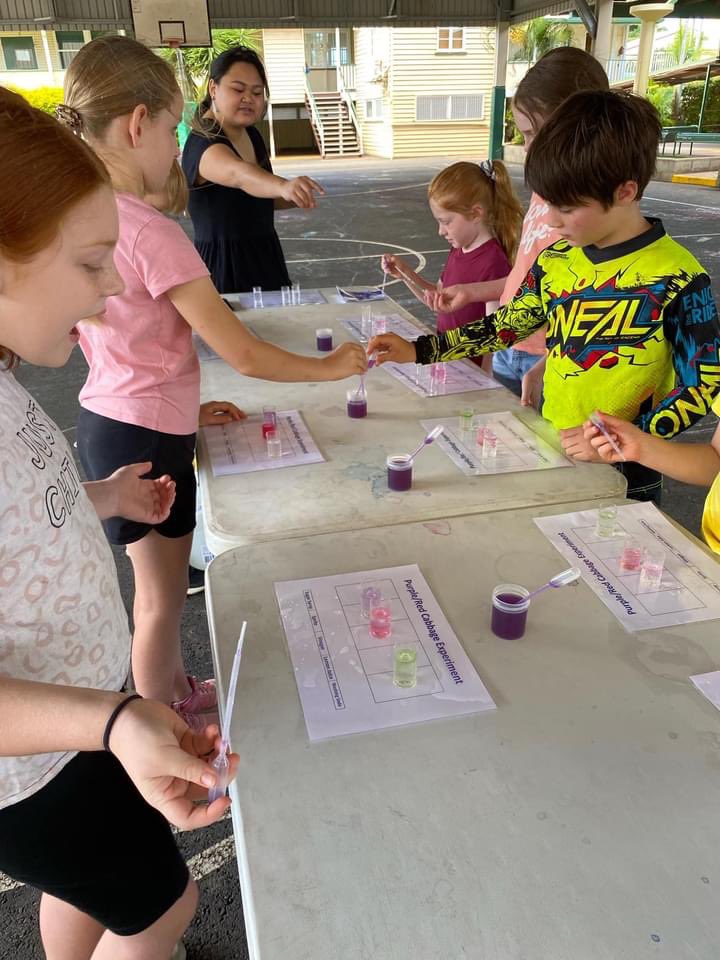 outbackxp4720's tweet photo. What can we do when an entire school wants to visit us? We go to them instead! Our presenters brought all the messy science for some end of school fun! #steameducation #steamforruralkids #outbacksteam #purplecabbageexperiment https://t.co/5OVRVvs20G