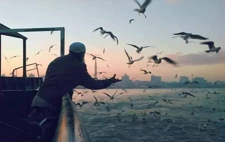 "لَوْ أنَّكم تتوكَّلونَ عَلَى اللهِ حقَّ تَوكُّلِهِ لرزَقكُم كَما يرزُقُ الطَّيْرَ" 💙

صباح الخير والتوكل علىٰ الله 🙏🌺🌿#خواطر_أدبية