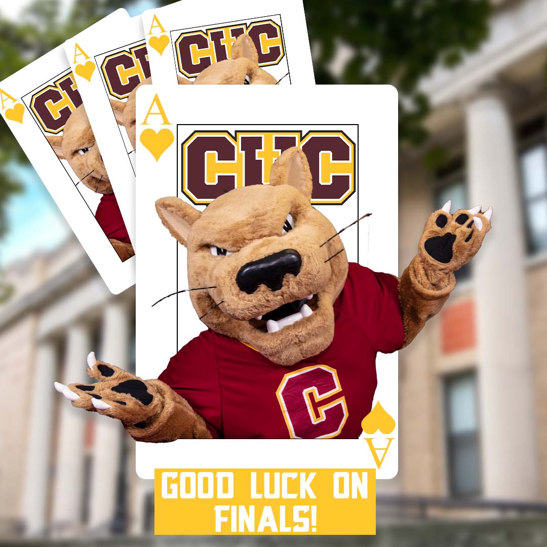 CUChicagoSports's tweet photo. Wishing the best of luck to all our Student-Athletes this week. Go Ace all your finals! https://t.co/sDmhNzZS4t
