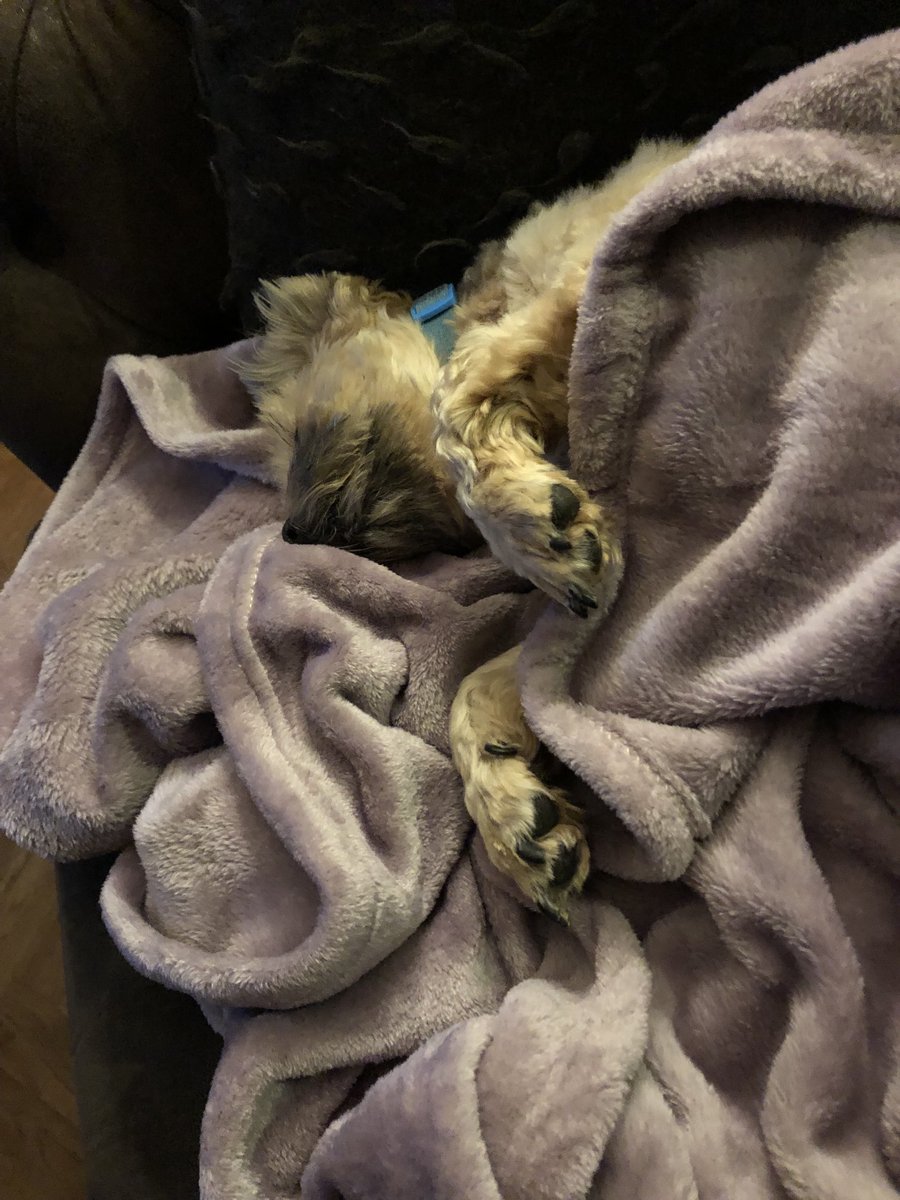 Onze Suus kan niet wakker worden.