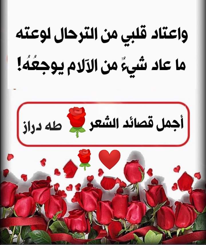 طلال.💫 tweet media