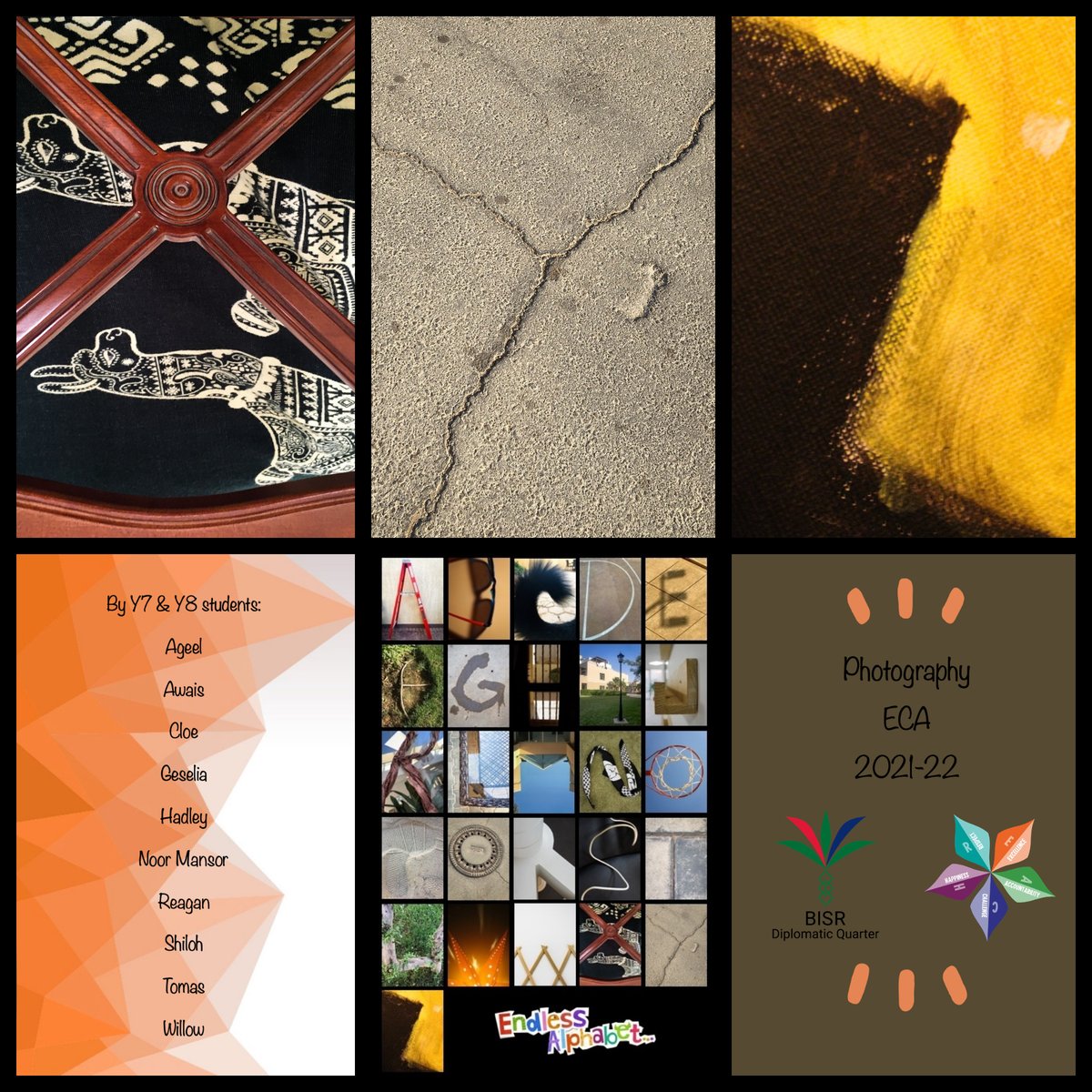 Activities at BISR tweet media