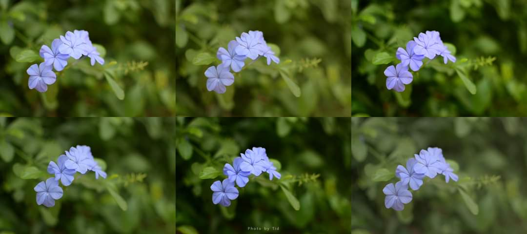 TiD_ScaleModel's tweet image. Picture Profile SD/NL/VI/PT/LS/FL
AF-S 35mm f1.8
#Nikkor