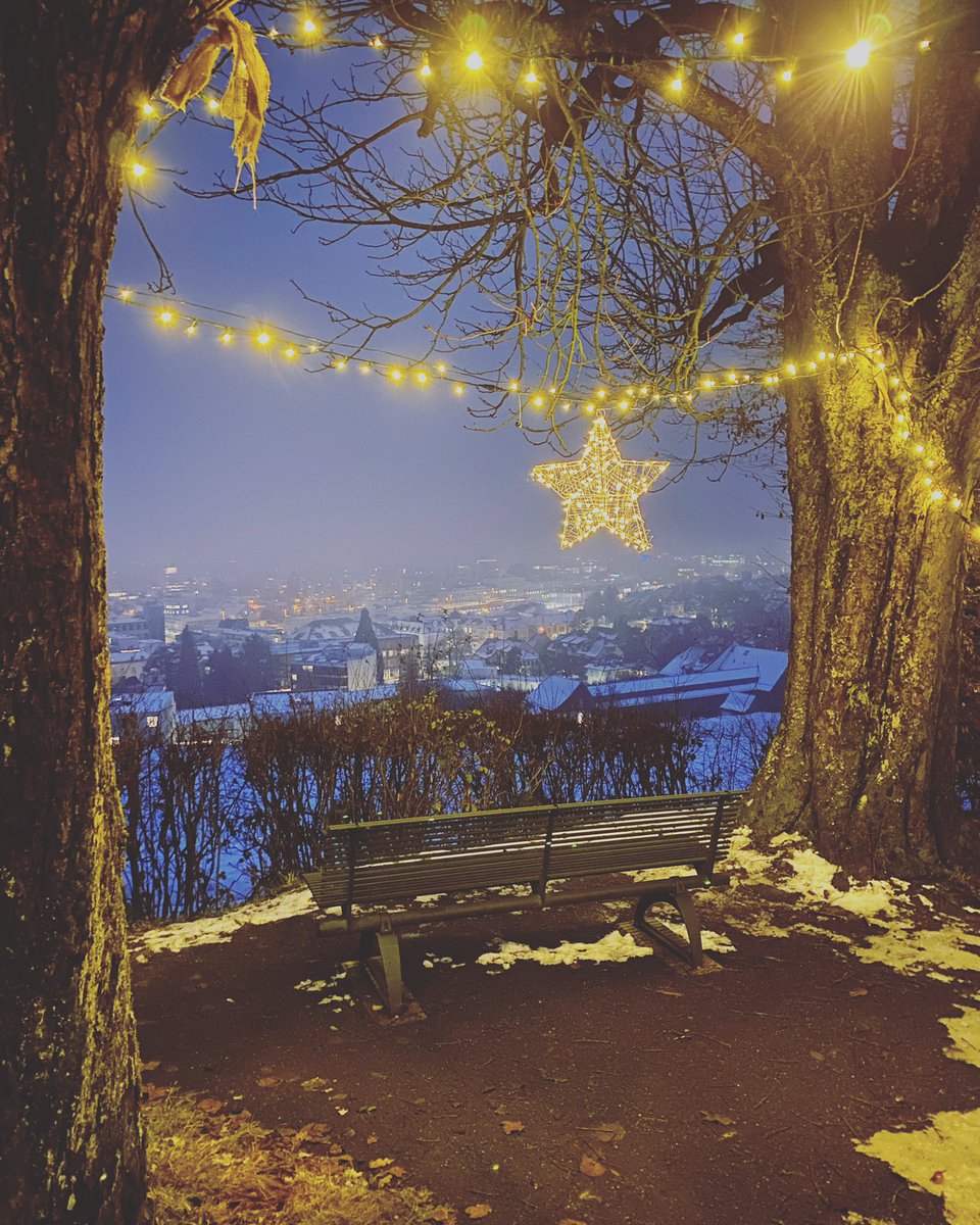 LeaWertheimer's tweet photo. Möge die neue Woche unter einem guten Stern stehen. Bin schon mal probegesessen. #magiclights https://t.co/xoM0HS4TyU