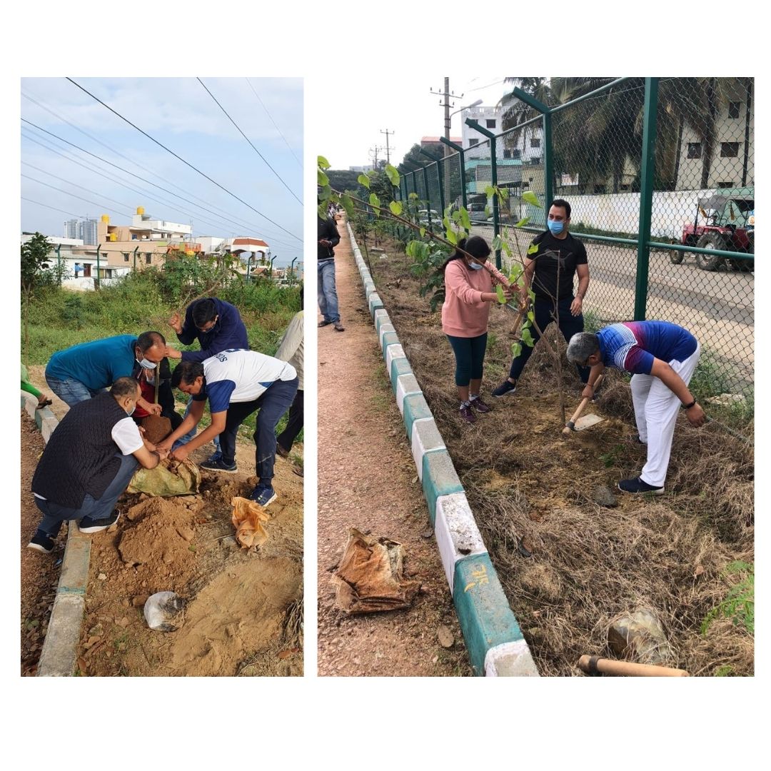 ConcernIndia_'s tweet image. Planted 160 trees on the banks of Bengaluru’s  Swathantra Lake with an enthusiastic team of volunteers from @DCBBank ! 
#concernindiafoundation #treeplantation #enviroment #greenplanet #cleanplanate #sapling #bengaluru #india #ecosysyetm #nature #lake #responsiblehuman
