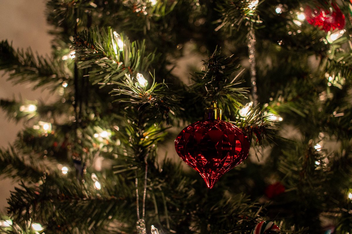 beedeephotos's tweet photo. "Ornamental (Part 1)" || #photography #canonphotography #eos #rebel #t3i #christmas #holidays #ornaments #christmastree #holiday https://t.co/1bh7846Xpe