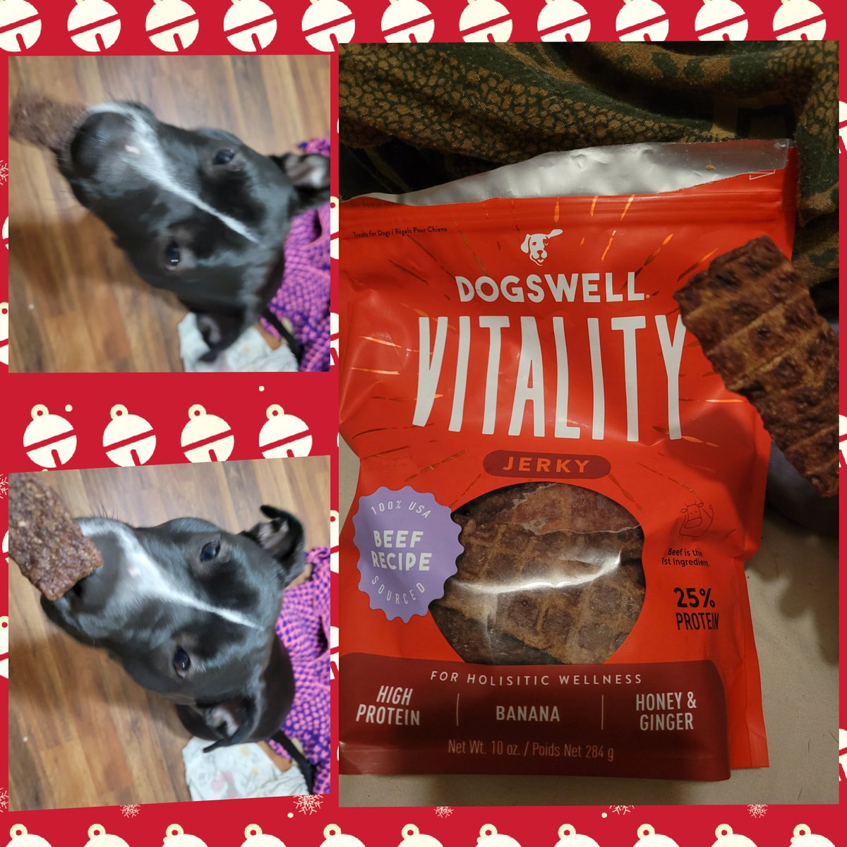 Gapinkzebra's tweet photo. Dogswell Vitality Beef &amp; Banana Jerky Dog Treats, 10-oz bag 

Dogs go crazy over these treats. And they are good for them. 

https://t.co/OVfrc4zLaK https://t.co/claQZySARn