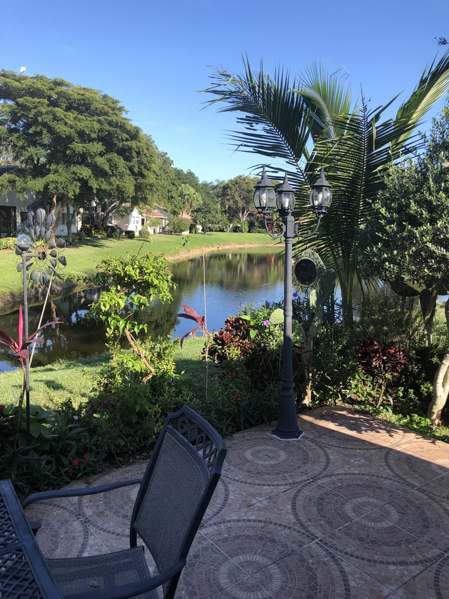 Julianmarch68's tweet image. I love the nature and beautiful turquoise skies of West Palm beach Florida!