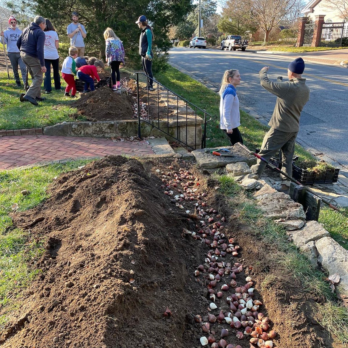 tracy_woods_'s tweet photo. Today the Brompton Oak witnessed Tulips FXBG not looking back, but looking forward, as they planted tulips at the residence of the University of Mary Washington’s president. #planthope #thinkspring #witnesstree https://t.co/tdWatRWgu5