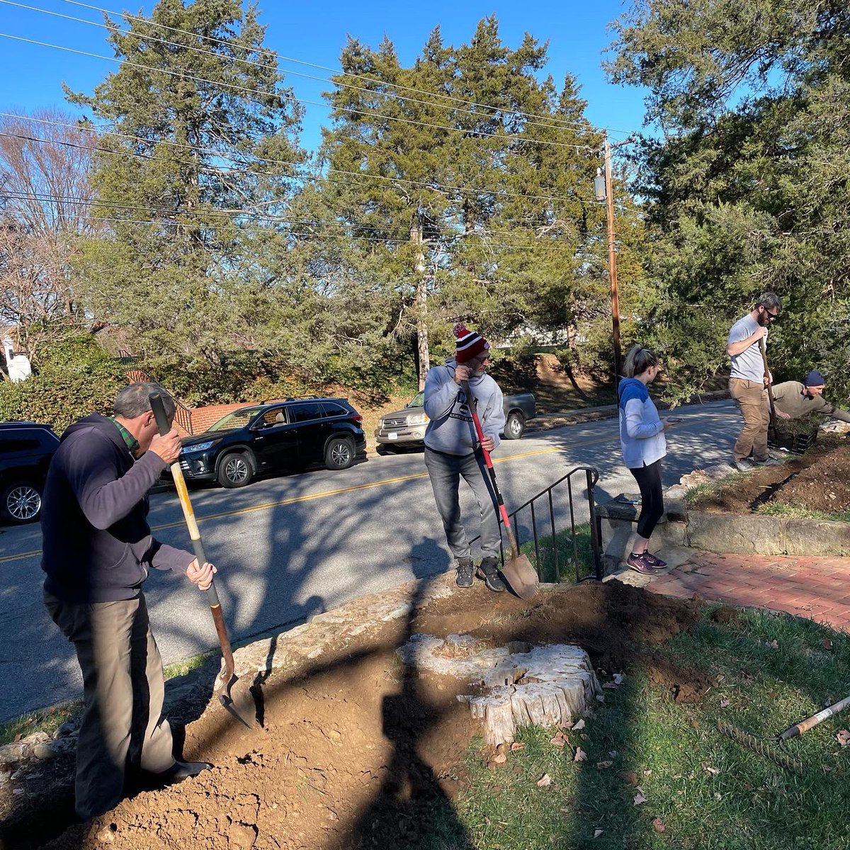 tracy_woods_'s tweet photo. Today the Brompton Oak witnessed Tulips FXBG not looking back, but looking forward, as they planted tulips at the residence of the University of Mary Washington’s president. #planthope #thinkspring #witnesstree https://t.co/tdWatRWgu5