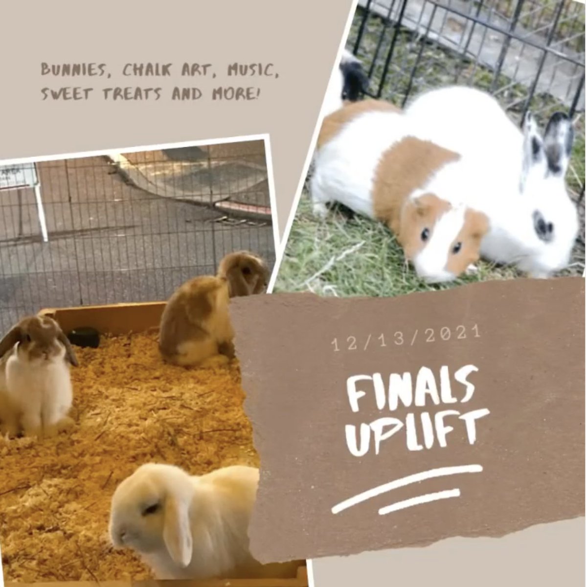 SCHOOL SPOTLIGHT!

Birmingham Charter High School had BUNNIES ON CAMPUS FOR STRESS RELIEF! BCCHS, you never cease to amaze us.