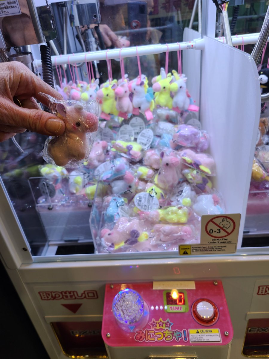 missdemeter3's tweet photo. That feeling when you fiiiiinally actually win something in a skill crane machine! Didn't get the Pikachu I'd been after, but oh well.
#gamergirl #Unicorns #skillcrane #cranemachine #arcadegames #gamer #itried https://t.co/4tcnQeE6cu