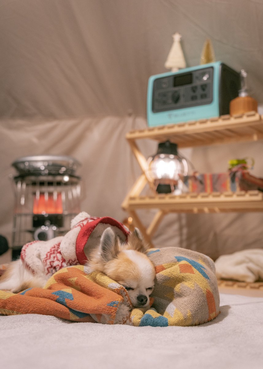 bluetti_inc's tweet photo. ❄️Absolutely not ready for Monday....

#camping #vanlife #rvlife #campingequipment #bluetti #eb70 #powerstation #solarpower #staywarm #cozyvibes #glamping https://t.co/U1VWUHIxGd