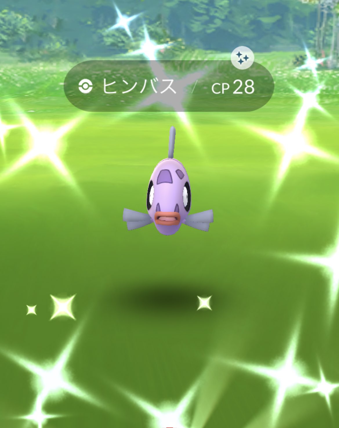 Rwypkcjjjywsqm