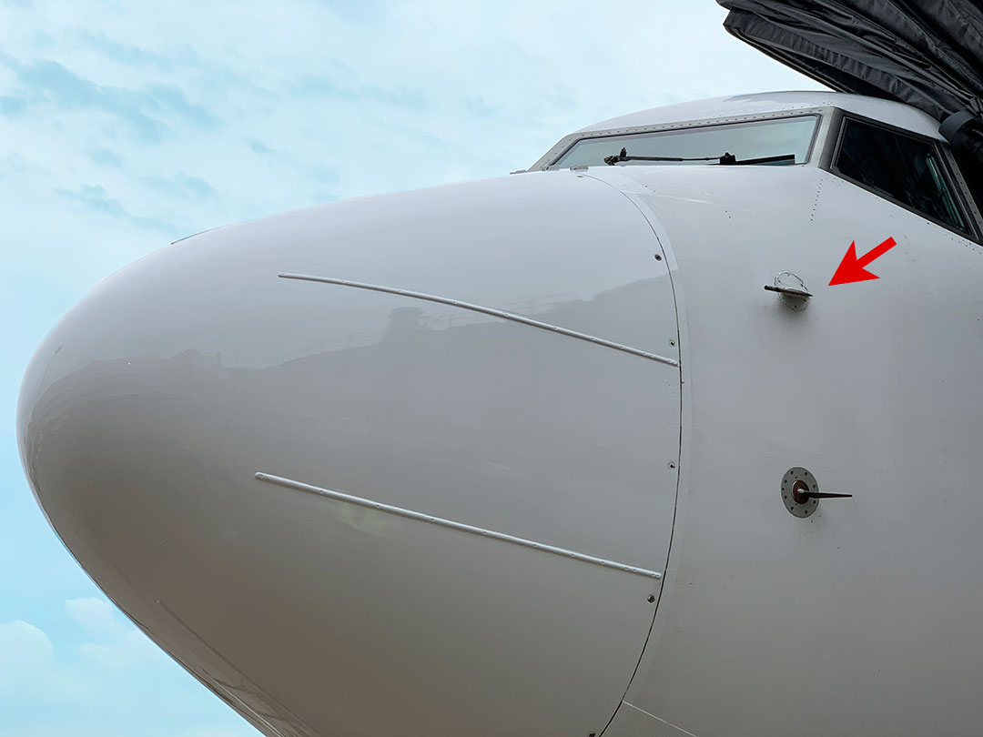 JAL豆知識】 💡機首の側面にある おひげみたいなものって❓🥸 「ピトー