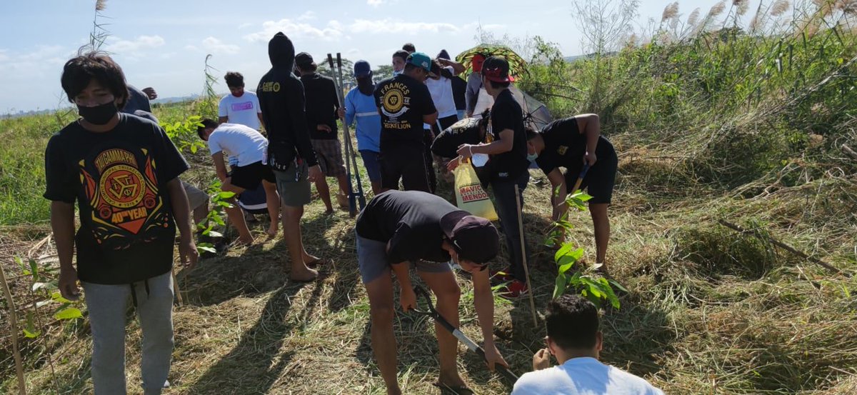 Green_Beli's tweet photo. [Philippines] Tree planting in Sapang Bayan, Calumpit, Bulacan is accomplished 🌱

Organized by: Green Beli x Tau Gamma Phi Calumpit TRISKELIONS (https://t.co/TBNKSfgSdn) (with the support of Japz Divinoo (https://t.co/txAsIJv0M9))
More photos: https://t.co/iyTNFwVn3P

#GRBE https://t.co/1cS3MqOB06