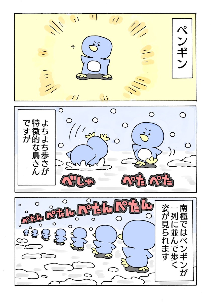 ペンギンの行列 