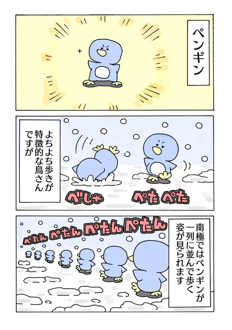 ペンギンの行列 