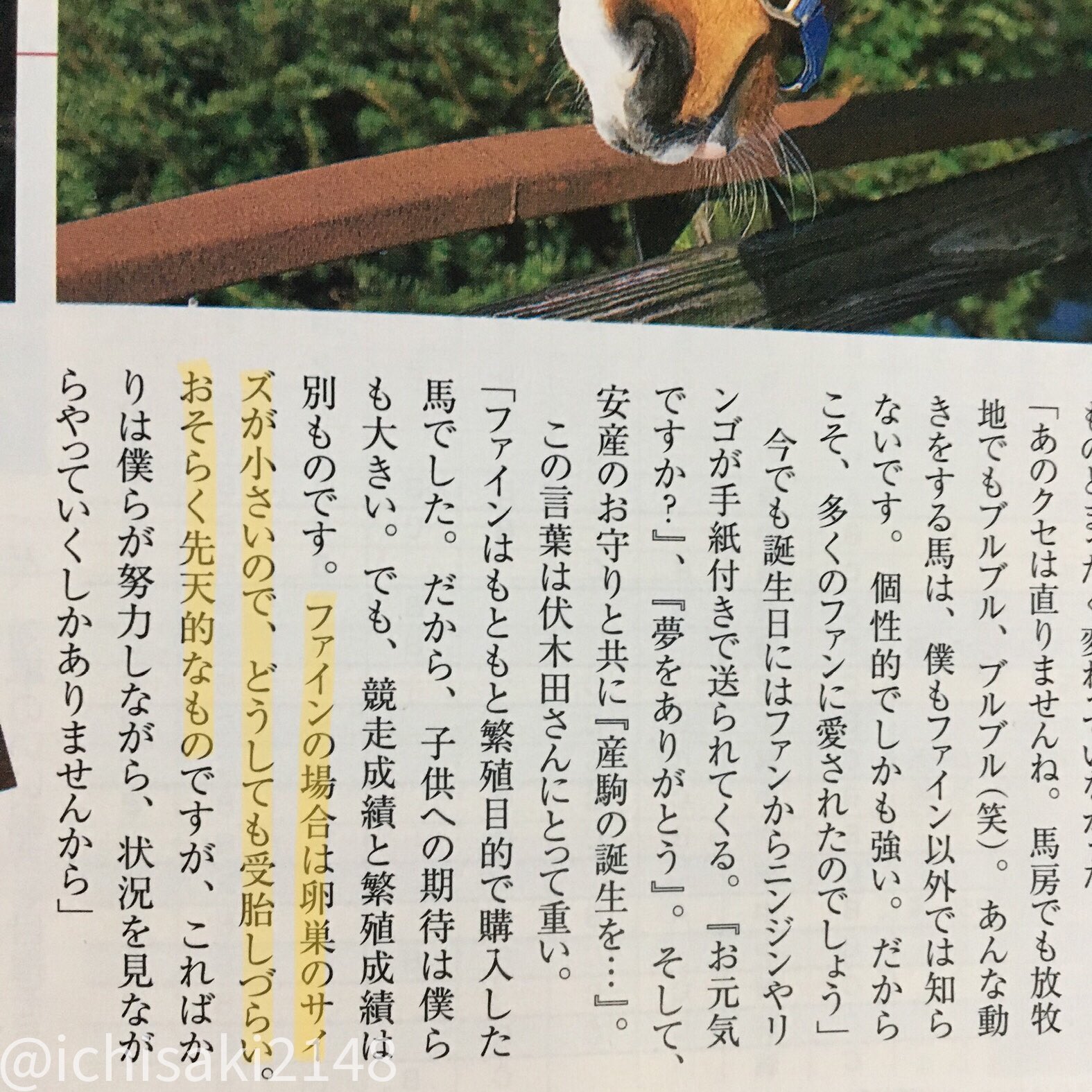 梢秋 ファインモーションの耳飾りが両耳にあるのはたぶん身体が牡馬とか両性具有とかそういうソース不明の噂が元ネタっぽいけど 実際のファインは卵巣が小さいとか医学的な理由で不受胎だそうな ウマ娘 ファインモーション T Co Qkhevrkpr4
