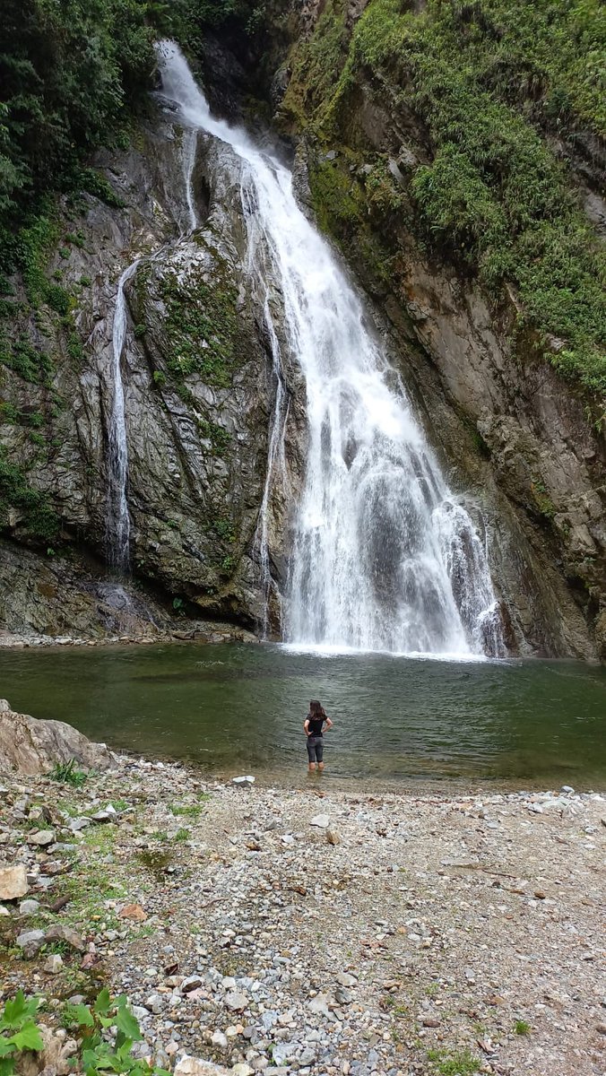 alexia_granado's tweet photo. Oi gente, nossa eu dei uma esquecida nesse perfil 

Estou em expedição de coleta no Equador e vou contar pra vcs depois com calma o q tá rolando pq aqui só tenho internet de vez em quando. Enquanto isso vou lançar umas fotinhos uns bichos maneiros q eu achei https://t.co/h8RIbu00gg