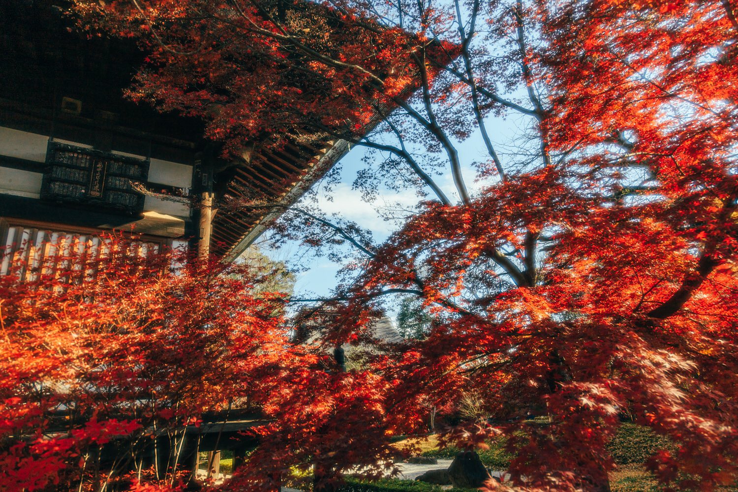 浄真寺 Twitter Search Twitter