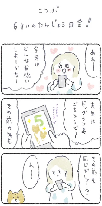 こつぶの誕生日!プロに写真を撮ってもらおう!リプにつづきが読めるURL貼ります(12月14日.朝10時までどなたでも)#豆しばこつぶ 