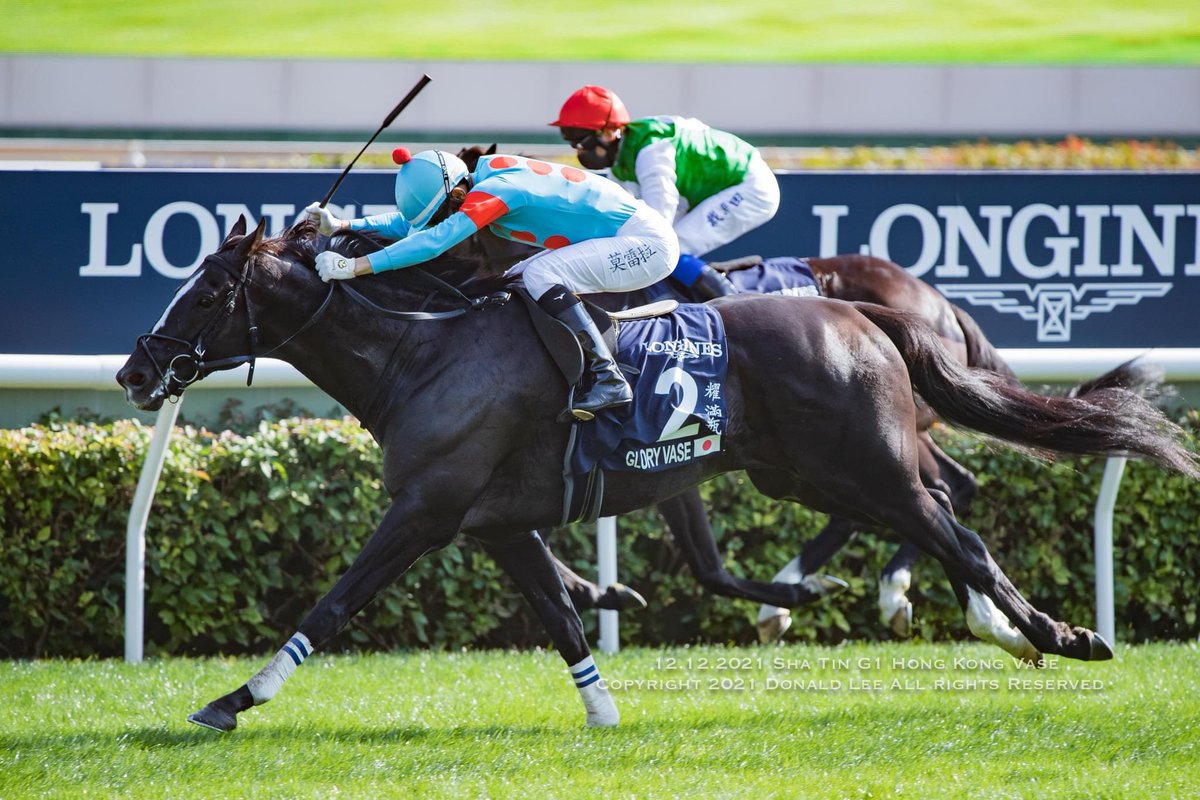 LeeMingDonald's tweet photo. 12.12.2021 Sha Tin Race 4 Glory Vase wins his 2nd G1 Hong Kong Vase @cavaleiro83 @kingsbestflash @villa_lake #HKIR #HKVase #HKracing #HorseRacing #Jockey #グローリーヴェイズ #競馬 https://t.co/5oEkKSCH15