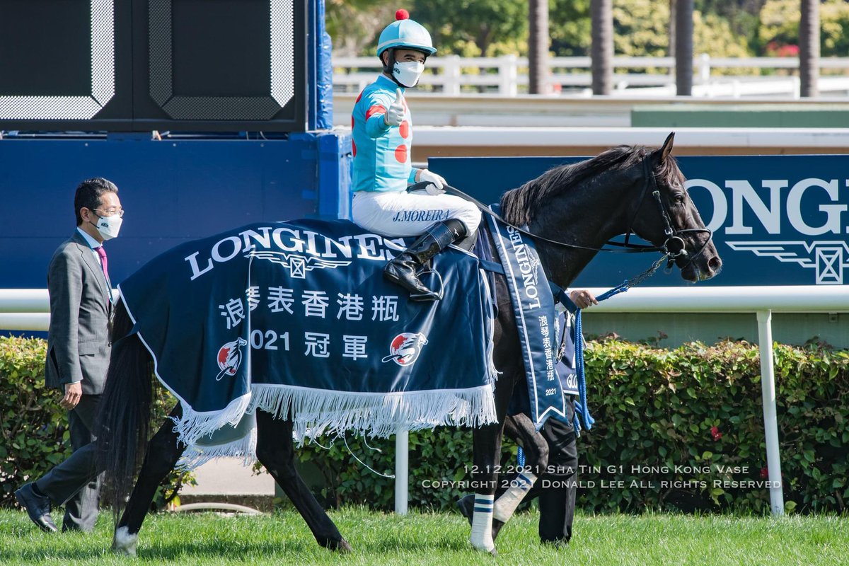 LeeMingDonald's tweet photo. 12.12.2021 Sha Tin Race 4 Glory Vase wins his 2nd G1 Hong Kong Vase @cavaleiro83 @kingsbestflash @villa_lake #HKIR #HKVase #HKracing #HorseRacing #Jockey #グローリーヴェイズ #競馬 https://t.co/5oEkKSCH15