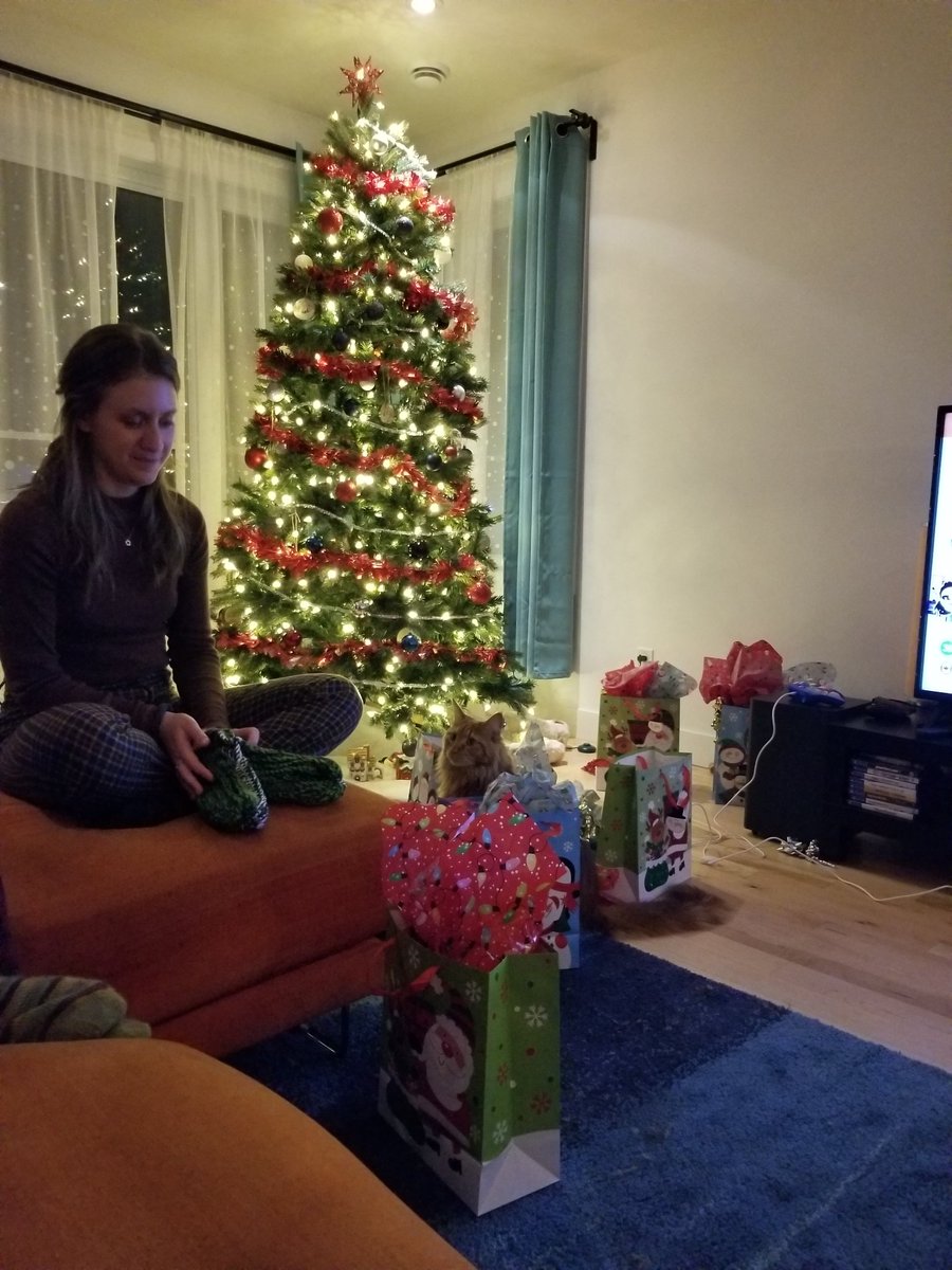 KatarzynaAnnaD1's tweet photo. And finally gift exchange! 🎁#SecretSanta #mainecoon #SCIENTIST https://t.co/A4rDXOmd1L